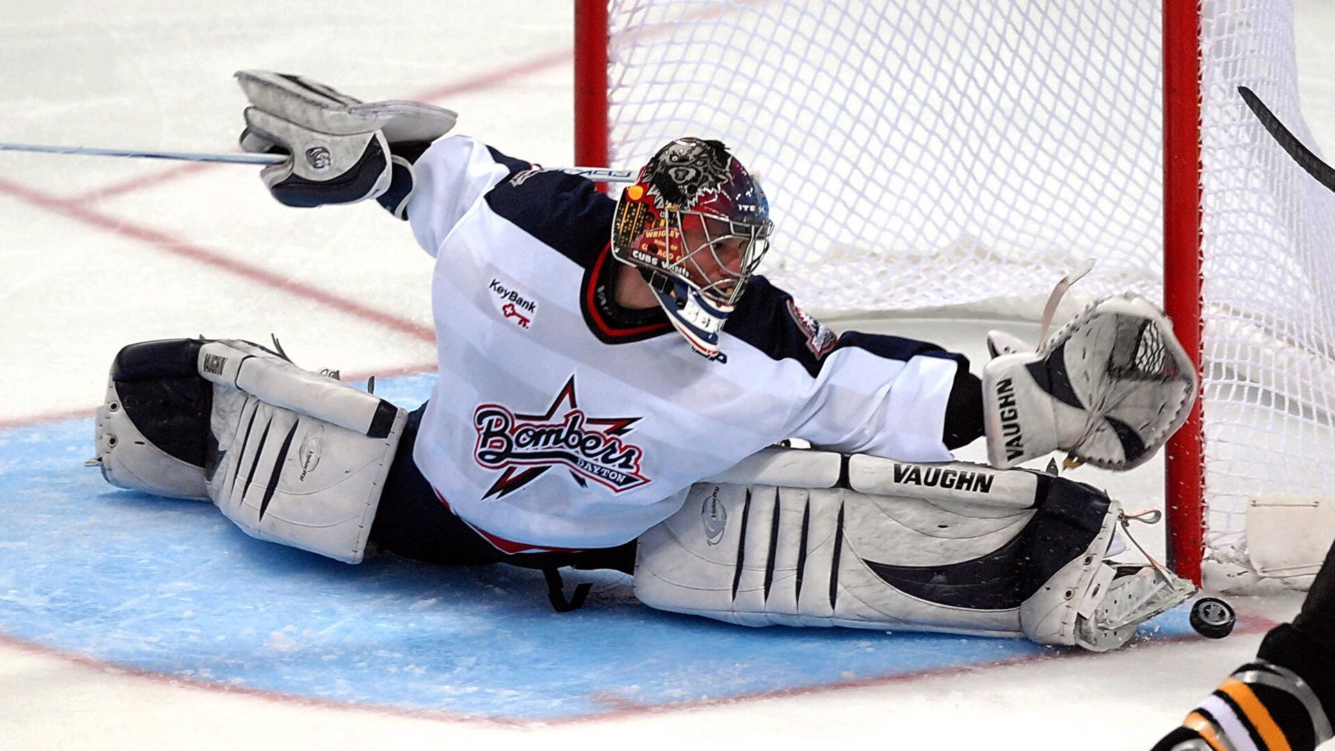 “彼得森的非凡表现助南非羚羊队破纪录创佳绩”