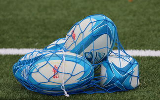 九游体育官网-法国橄榄球赛事的票房和赞助收入创历史新高，法国橄榄球国家队